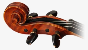 Lily@violin-china - Com - Hxmusical@163 - Com - Transparent Images Double Bass