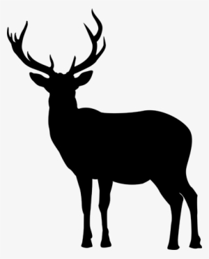 Deer Silhouette Png - Siluett Ren