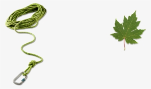 Background Element