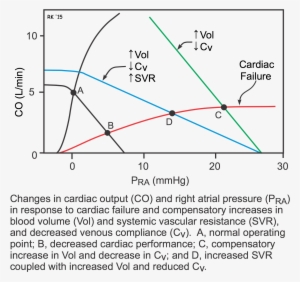 Hf003 Cardiac-vasc Funct Curves - Heart Failure Cardiac Function Curve