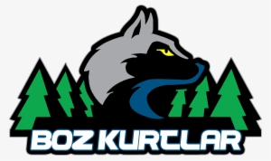 Inspired By Minnesota Timberwolves - Minnesota Timberwolves And Lynx