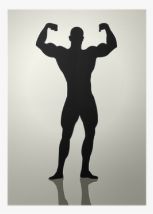 Silhouette Illustration Of A Bodybuilder Poster • Pixers® - Hot Tub Infographics