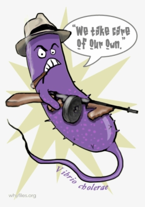 Social Critters The Why Files Vibrio As - Cartoon