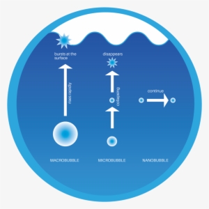 At This Depth Air Inside The Bubble Is Dissolved Into - Circle