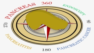 P360 Logo New - Pancreas