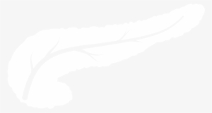 Video Atlas: Liver, Biliary & Pancreatic Surgery