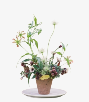 Flowers And White Plate2 - Orchids