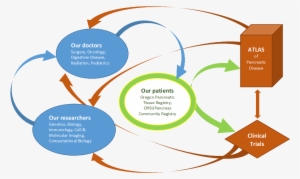 About Us - Bccpc