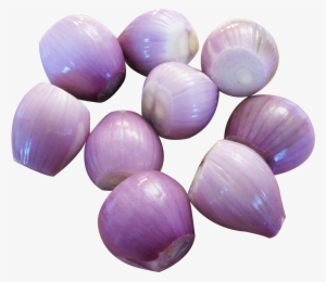 Peeled Shallots Png Image - Shallots Png