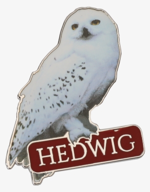 Hedwig Pin Badge