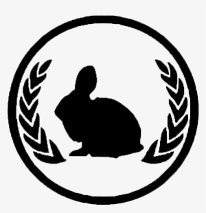 Boston Underground Film Festival Unveils First Wave - Senior Awards Night 2018