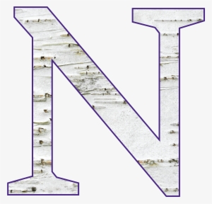 Birch With Purple Outline - N Fire Letter