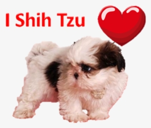 Anime & Games Accessories - Mal-shi