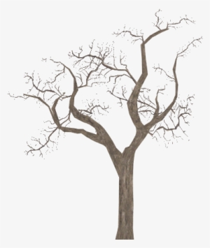 Leafless Tree - Zoo Tycoon 2