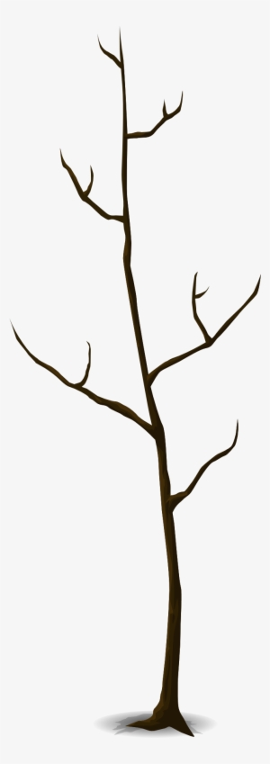 Drawing Of A Leafless Tree - Tree