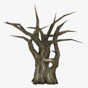 Leafless Raintree - Library