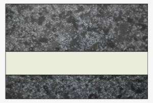 Ipi Architectural Stones Gloss Deep Charcoal Marble/bone - Marble