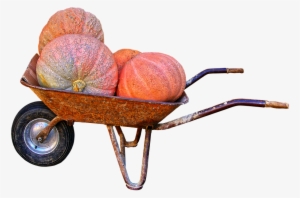Pumpkin, Giant Pumpkin, Wheelbarrow, Autumn - Persimmon