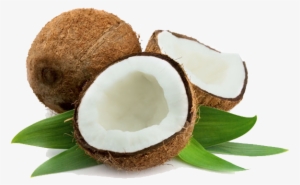 Virgin Coconut Oil - Coconut Oil Label Design