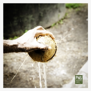 Virgin Coconut Oil From Vunakanau East New Britain - New Britain