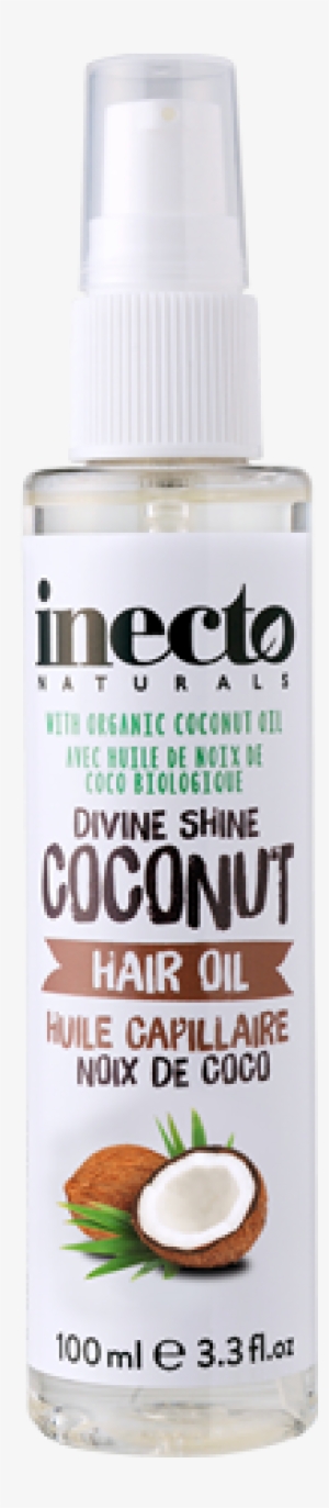 Lush Inecto Coconut Design Concept Lush Inecto Coconut Design Concept