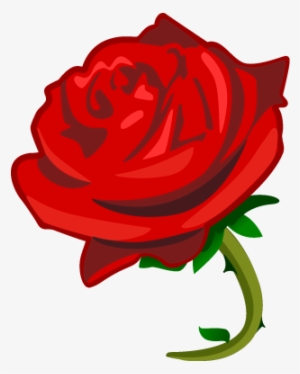 Te Amo - Belle Rose D Amour