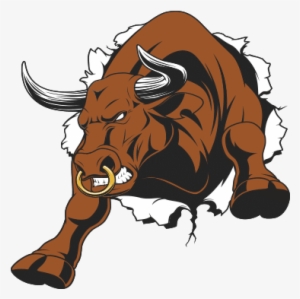 Bull Riding Chicago - Bull Snorting