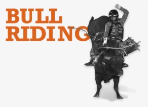 Bull-riding - Days Of '47 Parade