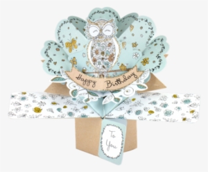Happy Birthday Owl Pop-up Greeting Card Original Second - Second Nature Pop Ups Owl Birthday Card