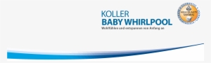 Rudolf Koller