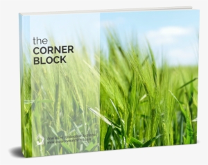 In This Episode, I Discuss The Key Challenges To Contend - Rural And Agricultural Marketing