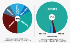 Fisheriescircles - Circle