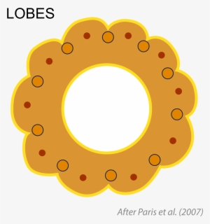 Open - Circle