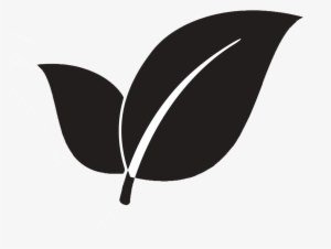 Eco
