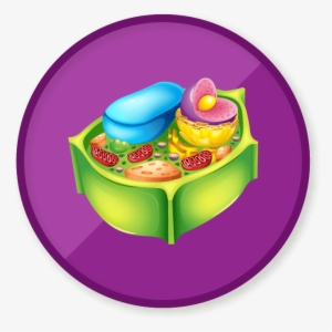 Win A Badge - Plant Cell Vector
