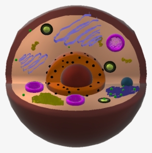 Animal Cell 3d - Circle