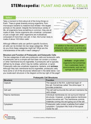 2 & - Periodic Table