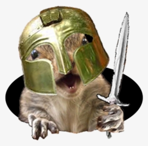Welcome To Squirrelgladiators - Coffee