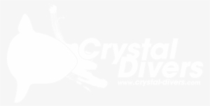 Go Pro Bali - Crystal Divers - Padi Idc Center