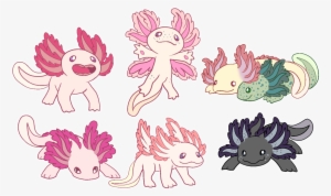 My Lil Axolotl Dragon Babies~ - Axolotl Dragon