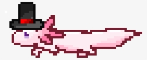 Axolotl - Walking