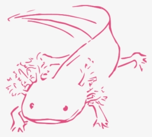 Transdisciplinary Research Brings A Diversity Of Knowledge - Drawing