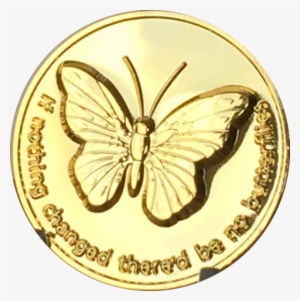 Butterfly If Nothing Changed There'd Be No Butterflies - Alcoholics Anonymous