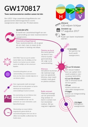 Dutch Language Infographic (infographic Nl - Ligo Infographic