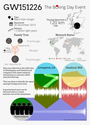 Infographic