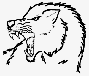 More Like Wolf Drawing By Howling- - Drawing