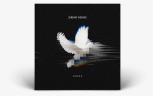 Jeremy Riddle More Album