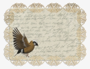 Tag, Vintage, Label, Old, Antique, Lace, Lettering