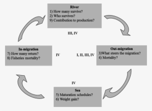 Research Objectives Of The Thesis - Research
