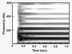 Modal Distribution - Probability Distribution
